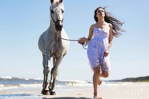 Sharm El-Sheikh : Horse Riding on the Beach