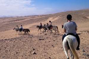 Sharm El Sheikh Horse Riding Safari Trip