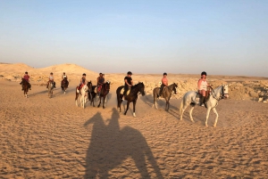 Sharm El Sheikh: Horseback Riding Adventure on the Desert