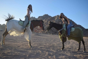 Sharm El-Sheikh: Desert Horseback Riding Tour with Transfer