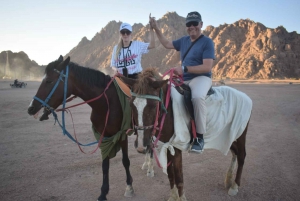 Sharm El-Sheikh: Desert Horseback Riding Tour with Transfer