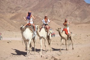 Sharm El-Sheikh: Jeep Adventure to Blue Hole, Canyon & Dahab