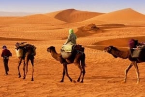 Sharm Private Jeep Safari, sterrenkijken & luxe diner