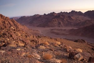 Sharm Private Jeep Safari, sterrenkijken & luxe diner