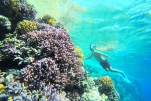 Sharm El Sheikh: Cruzeiro em um barco de luxo com mergulho com snorkel e almoço