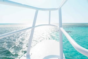 Sharm El Sheikh: Luksusbåtcruise med snorkling og lunsj