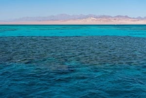 Sharm El Sheikh: Lyxig båtkryssning med snorkling och lunch
