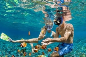 Sharm El Sheikh: Luksusbådkrydstogt med snorkling og frokost