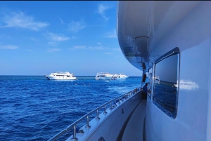 Sharm El Sheikh: Mohammed & White Island Cruise: Ylellinen Ras Mohammed & White Island risteily