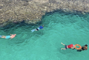 Sharm El Sheikh: Luksuskrydstogt til Ras Mohammed og White Island