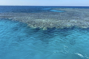 Sharm El Sheikh: Lyxig Ras Mohammed & White Island-kryssning