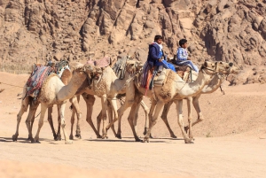 Sharm El-Sheikh: Morgens Wüste ATV Quad & Buggy Abenteuer