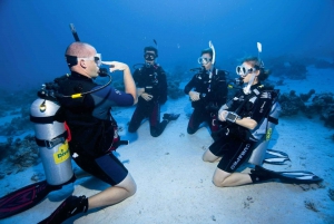 Sharm el Sheikh: PADI Diving Courses Package