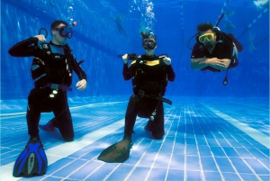 Sharm el Sheikh: PADI Diving Courses Package