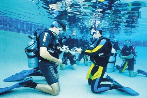 Sharm el Sheikh: PADI Diving Courses Package