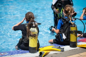 Sharm el Sheikh: PADI Diving Courses Package