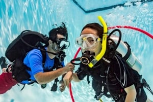 Sharm el Sheikh: PADI Diving Courses Package