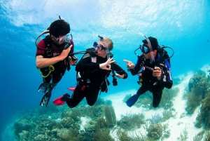Sharm el Sheikh: PADI Diving Courses Package