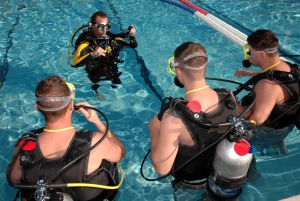 Sharm el Sheikh: PADI Diving Courses Package