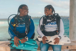 Sharm el Sheikh: PADI Diving Courses Package
