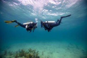 Sharm el Sheikh: PADI Diving Courses Package
