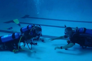 Sharm el Sheikh: PADI Diving Courses Package