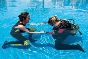 Sharm el Sheikh: PADI Diving Courses Package
