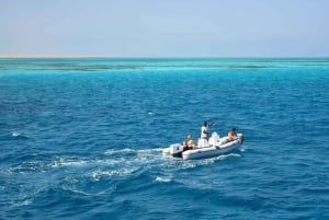 Sharm El Sheikh: Parasailing and Speedboat Snorkeling Trip