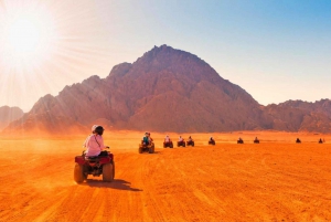 Sharm El-Sheikh Parasailing, paseo en camello, buceo y quad