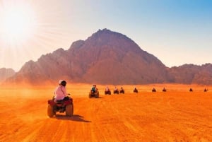 Sharm El-Sheikh: Parasailing, Camel Ride, Dive & Quad Bike