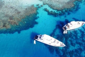 Sharm el Sheikh Hafen : Ras Mohammed Tauchausflug mit Mittagessen