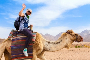 Sharm El Sheikh: Tour privato della città con ATV e tenda beduina
