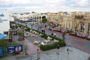 Sharm El Sheikh: Tour privado de la ciudad con cena de marisco
