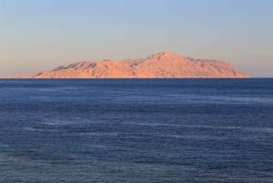 Sharm El Sheikh: Private Speedboat trip to Tiran Island
