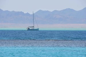 Sharm El Sheikh Excursión de medio día en yate privado para grupos pequeños