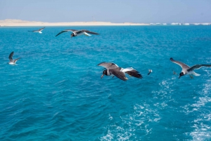 Sharm El Sheikh : Excursion en yacht privé avec déjeuner et boissons