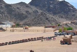 Sharm El Sheikh: Quad bike, Safari, Camel With Dinner & Show