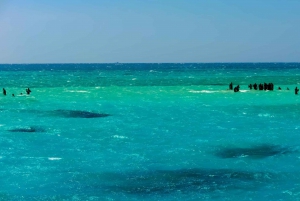 White Island and Ras Mohamed Snorkeling Sea Trip W/Lunch