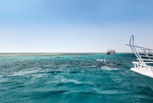 White Island and Ras Mohamed Snorkeling Sea Trip W/Lunch