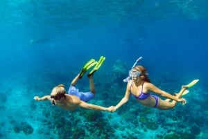 White Island and Ras Mohamed Snorkeling Sea Trip W/Lunch