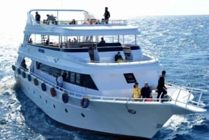 Sharm El Sheikh: Ras Mohamed & White Island Dive & Snorkel