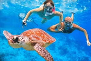 Sharm El Sheikh: Ras Mohamed & White Island Dive & Snorkel