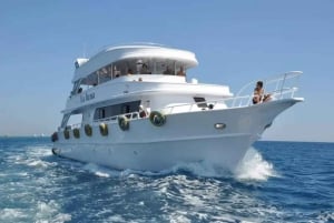 Sharm El Sheikh: Ras Mohamed & White Island Dive & Snorkel