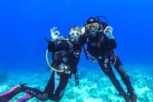 Sharm El Sheikh: Ras Mohamed & White Island Dive & Snorkel