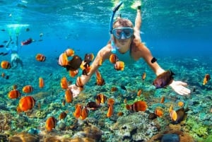 Sharm El Sheikh: Ras Mohamed & White Island Dive & Snorkel