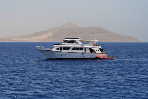 Sharm El Sheikh: Ras Mohamed, Weiße Insel, Schnorcheln & Tauchen