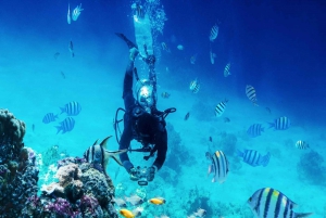 Sharm El Sheikh: Ras Mohamed, Wit eiland, snorkelen & duiken