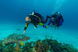Sharm El Sheikh: Ras Mohamed, White Island, Snorkling och dykning