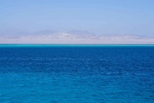 Sharm El Sheikh: Ras Mohamed, White Island, Snorkling och dykning