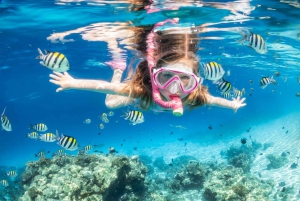 Sharm El Sheikh : Ras Mohamed, White Island, Snorkel & Diving